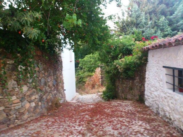 Casa Con Encanto En Alajar Exterior photo